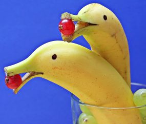 Amusing Funny Bananas Dolphins Ideas
