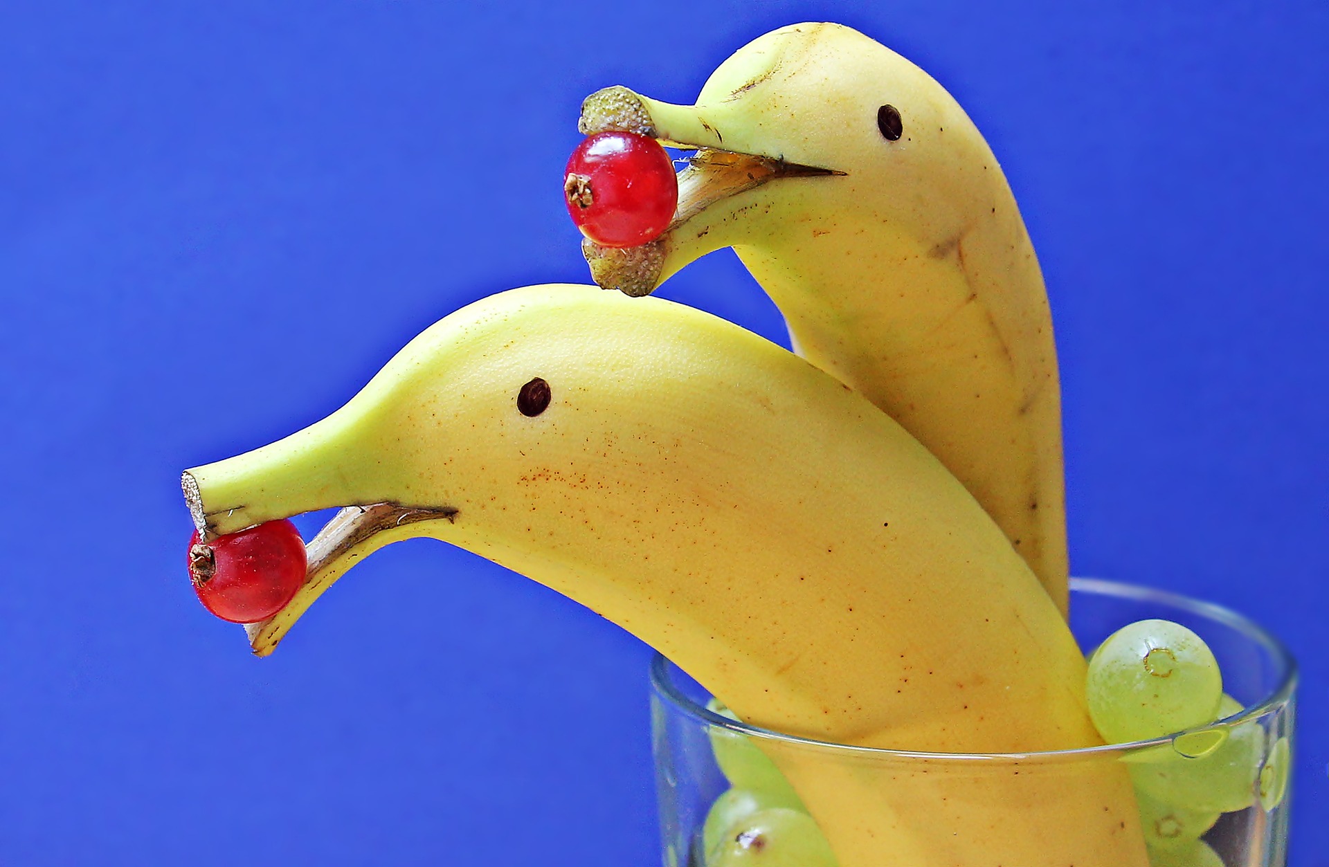 Amusing Funny Bananas Dolphins Ideas