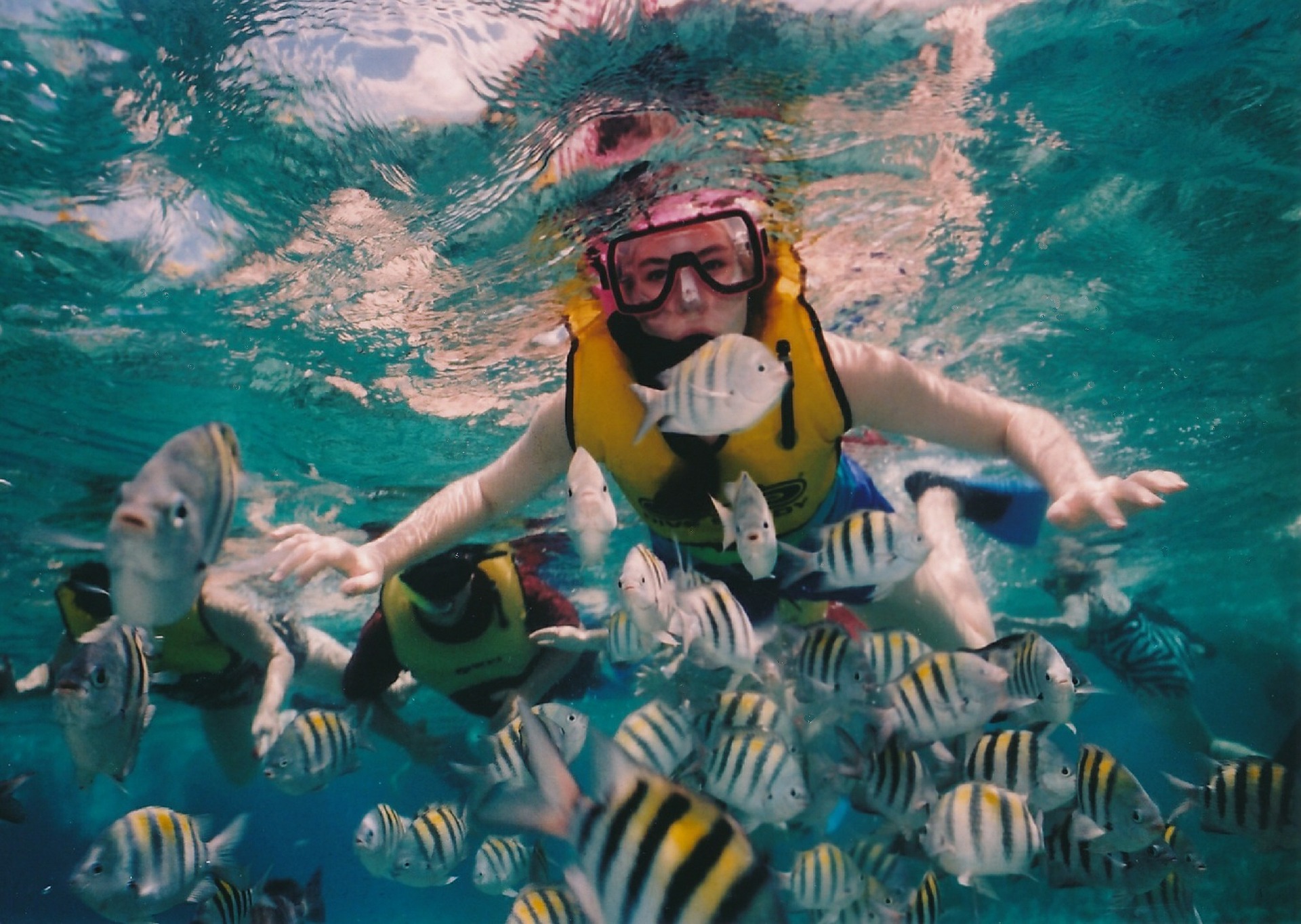 Go Snorkeling Ocean Lake Fish Recreation Ideas