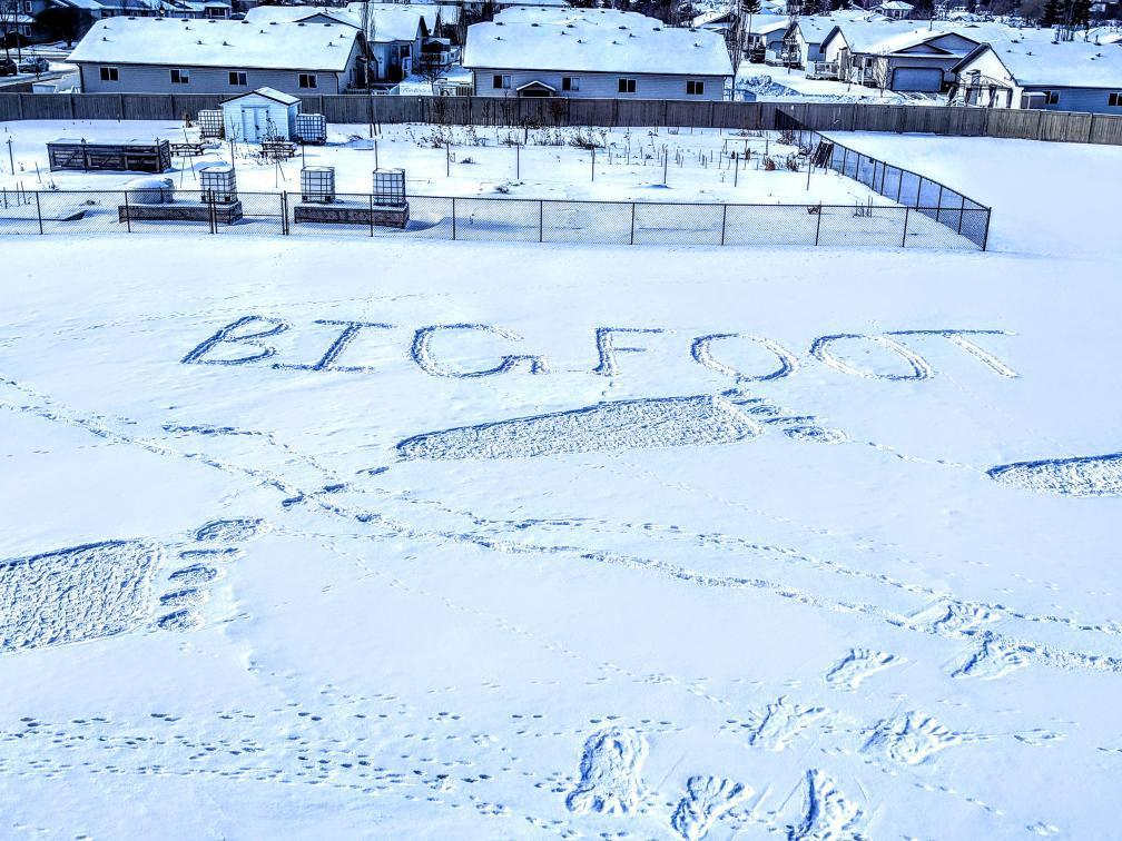 Big Foot Snow Art / Drawing