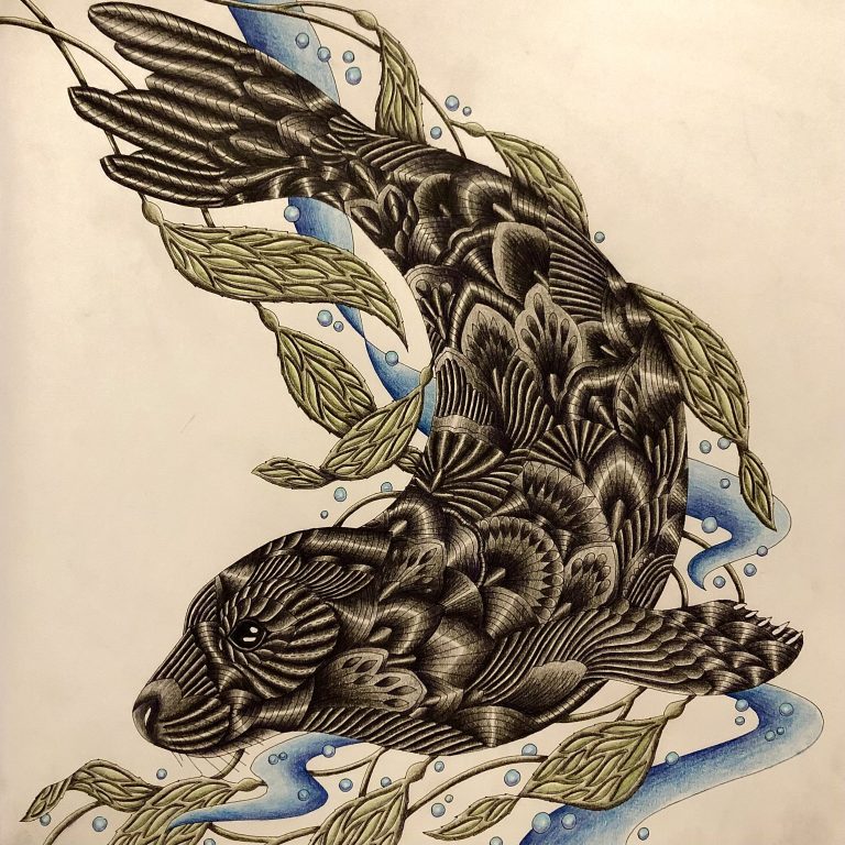 Grey Seal Adult Coloring Book