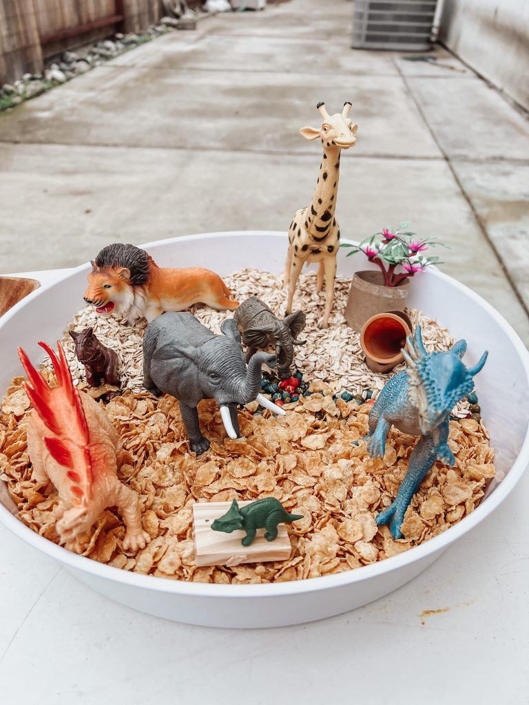 Zoo Sensory Bin Giraffe Dinosaur Lion Animals