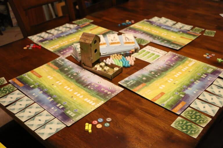 Wingspan Board Game setup table