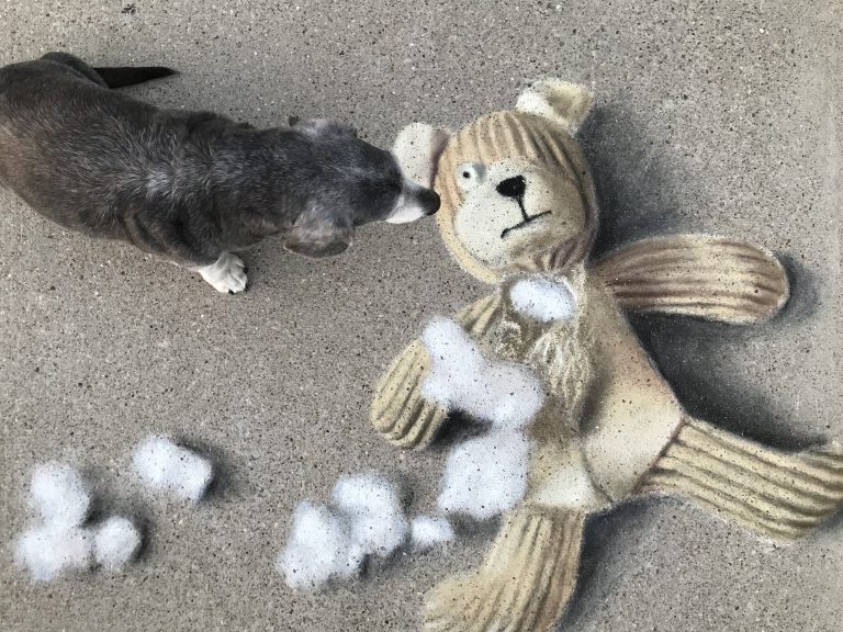 Teddy Bear Interactive Chalk Art